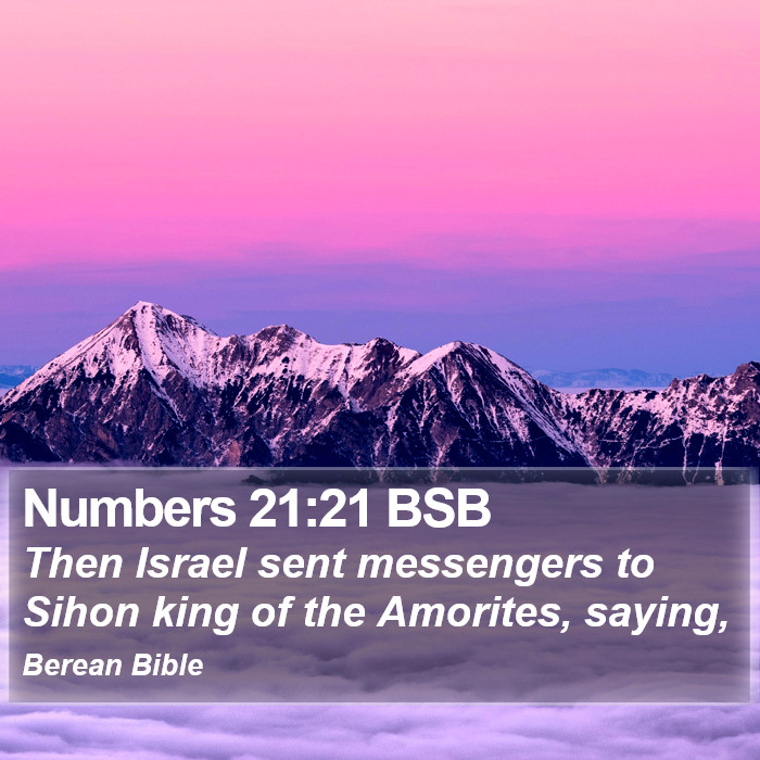 Numbers 21:21 BSB Bible Study