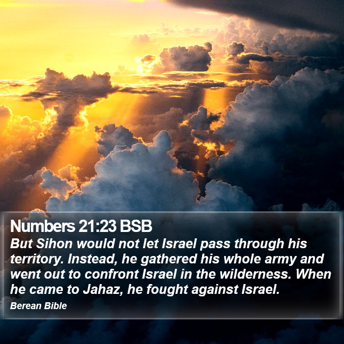 Numbers 21:23 BSB Bible Study