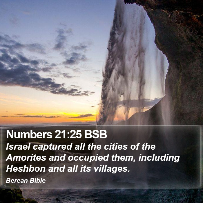 Numbers 21:25 BSB Bible Study