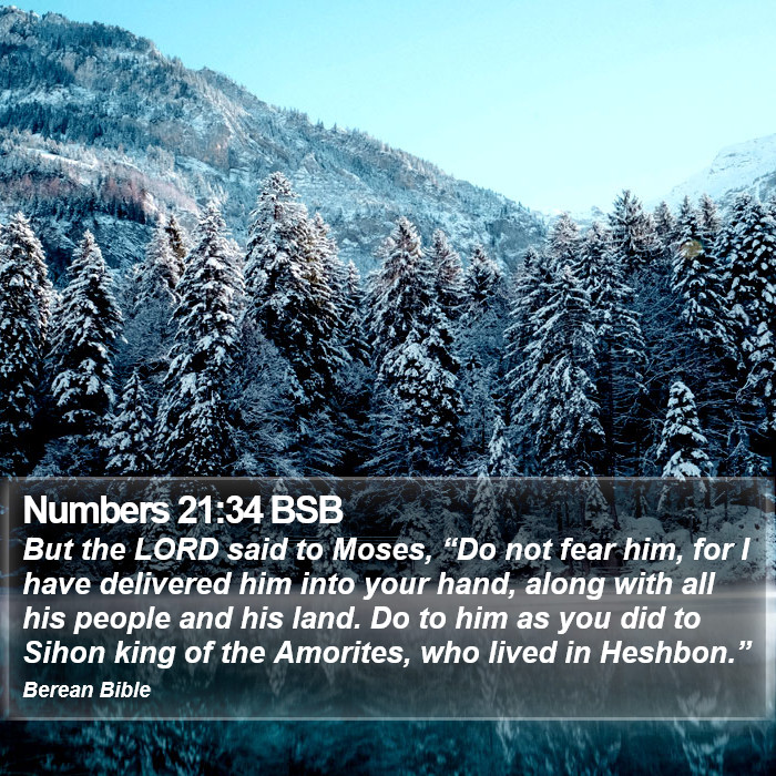 Numbers 21:34 BSB Bible Study