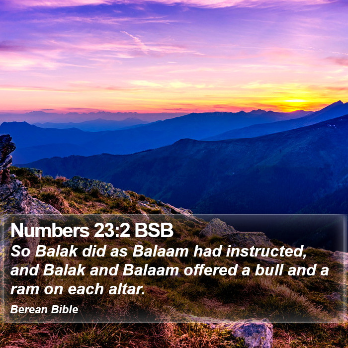 Numbers 23:2 BSB Bible Study