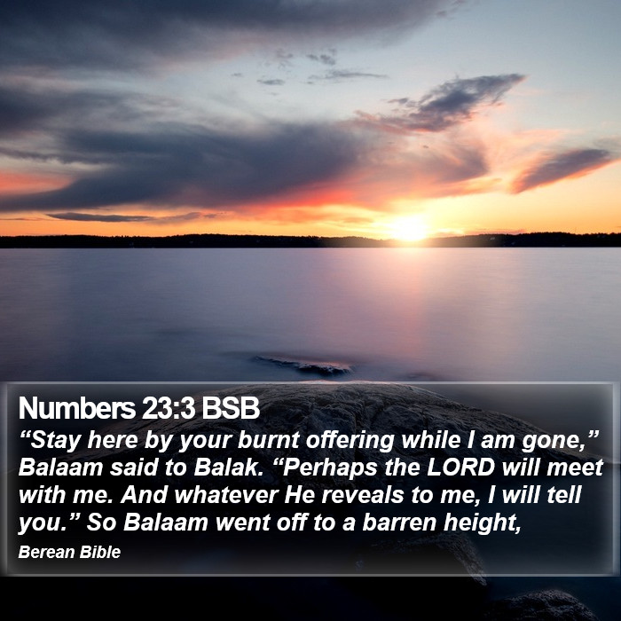 Numbers 23:3 BSB Bible Study