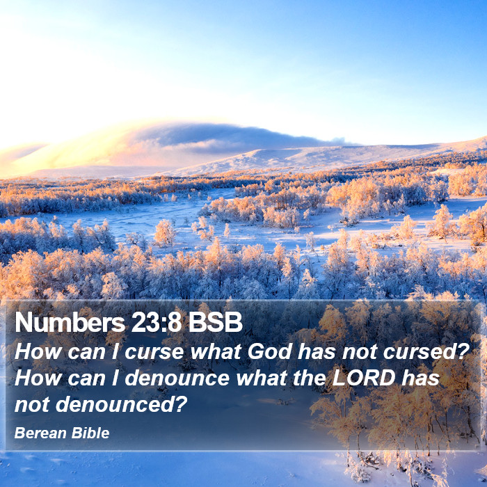 Numbers 23:8 BSB Bible Study