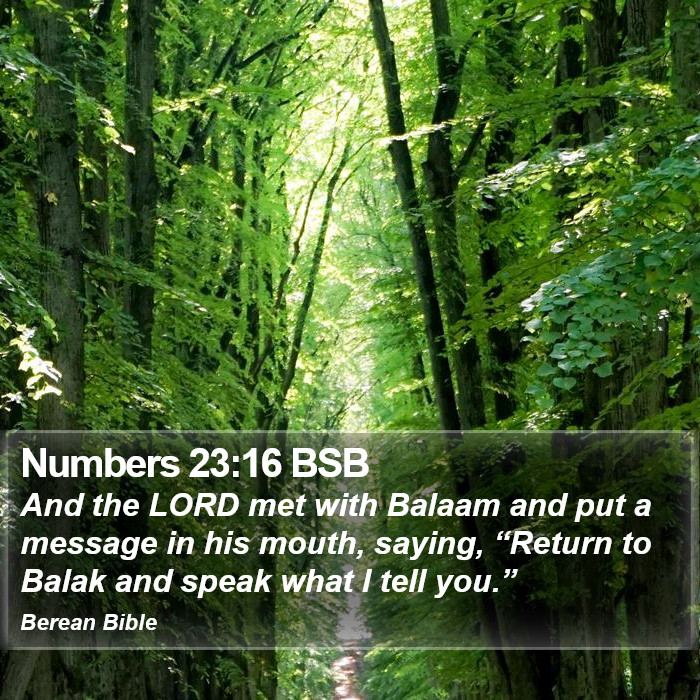 Numbers 23:16 BSB Bible Study