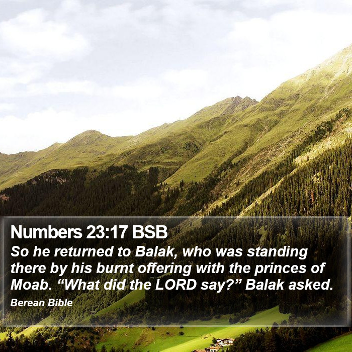 Numbers 23:17 BSB Bible Study