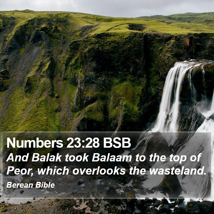 Numbers 23:28 BSB Bible Study