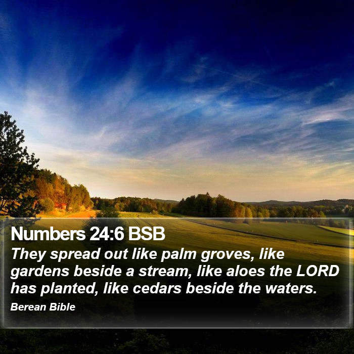 Numbers 24:6 BSB Bible Study