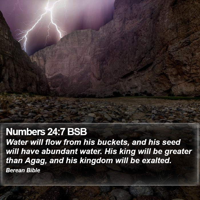 Numbers 24:7 BSB Bible Study