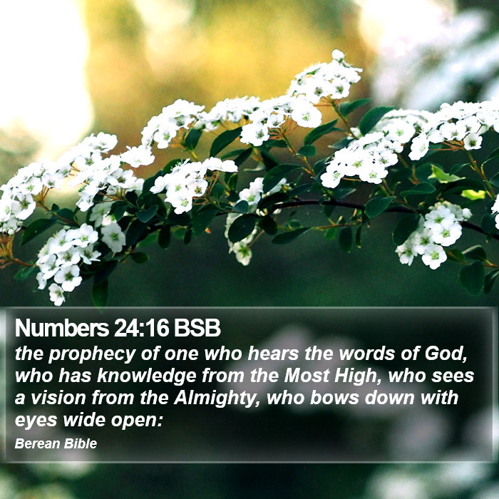 Numbers 24:16 BSB Bible Study