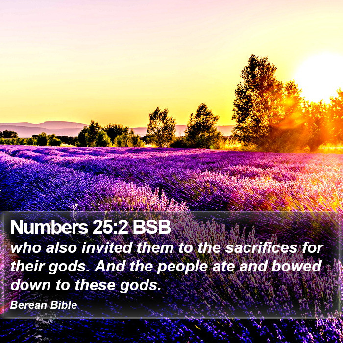 Numbers 25:2 BSB Bible Study