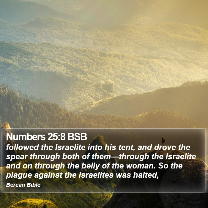 Numbers 25:8 BSB Bible Study