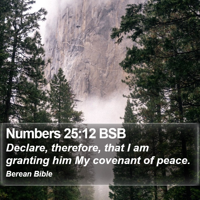 Numbers 25:12 BSB Bible Study