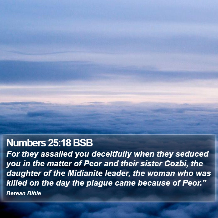 Numbers 25:18 BSB Bible Study