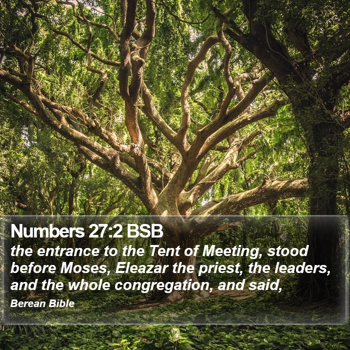 Numbers 27:2 BSB Bible Study