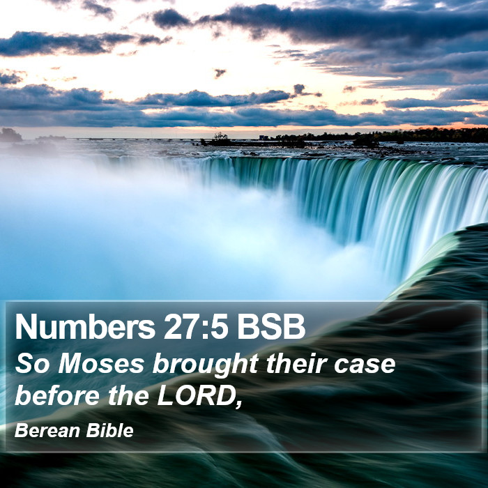 Numbers 27:5 BSB Bible Study