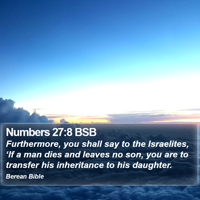 Numbers 27:8 BSB Bible Study