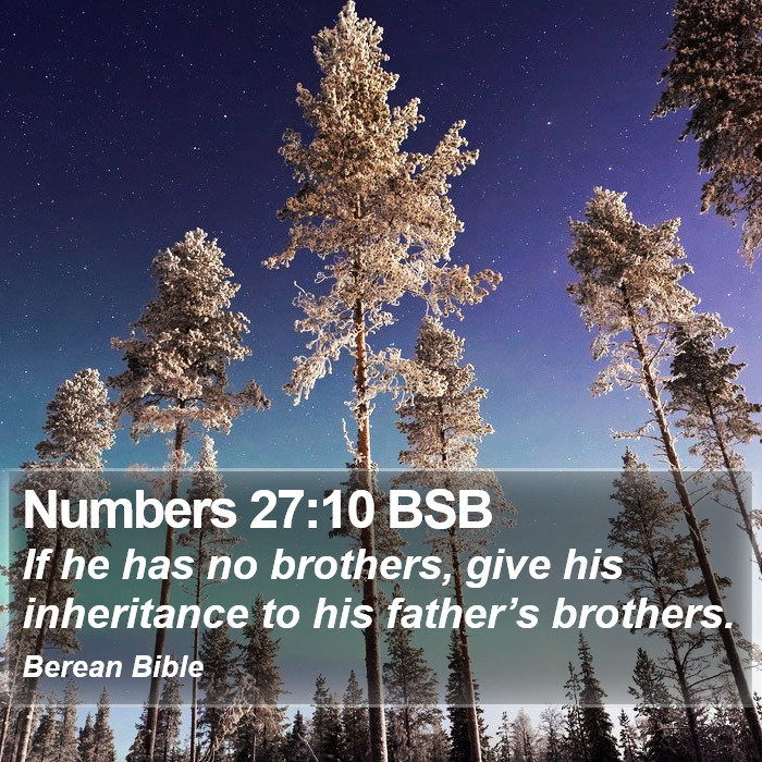 Numbers 27:10 BSB Bible Study