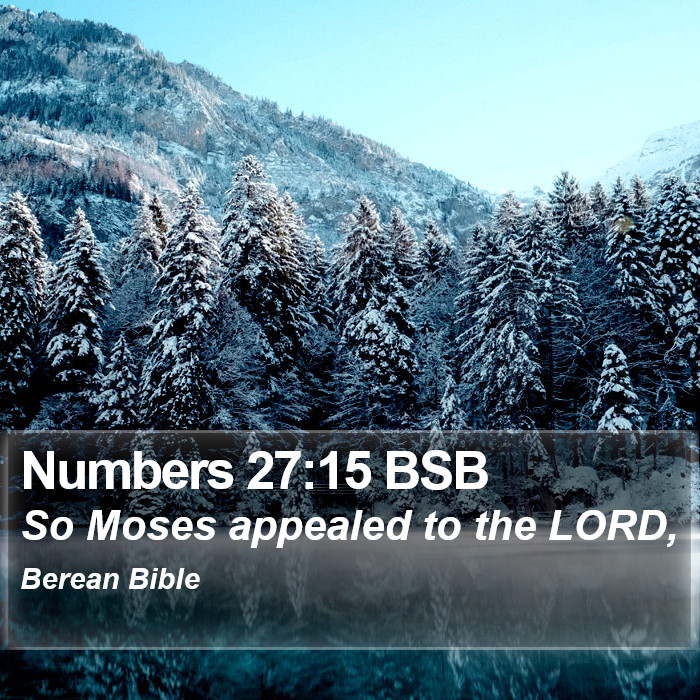 Numbers 27:15 BSB Bible Study