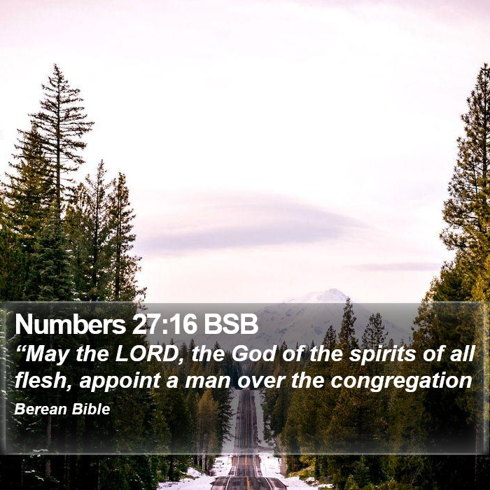 Numbers 27:16 BSB Bible Study