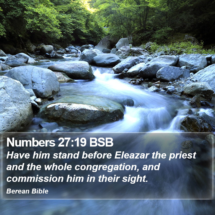 Numbers 27:19 BSB Bible Study