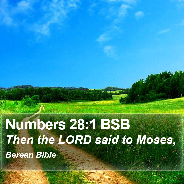 Numbers 28:1 BSB Bible Study