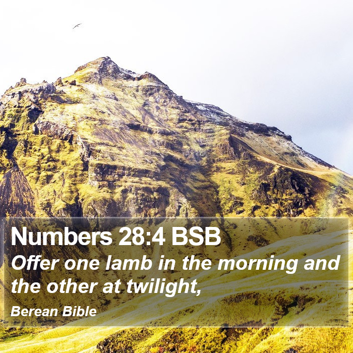 Numbers 28:4 BSB Bible Study