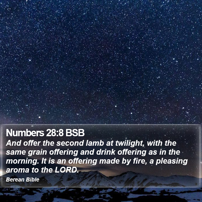 Numbers 28:8 BSB Bible Study