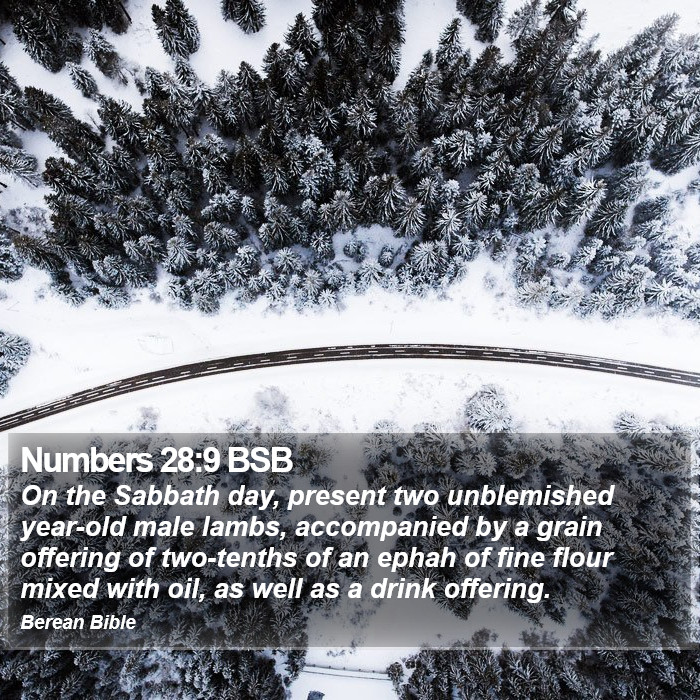 Numbers 28:9 BSB Bible Study