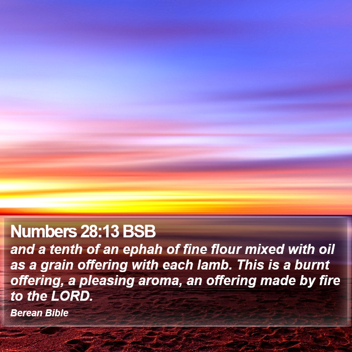 Numbers 28:13 BSB Bible Study