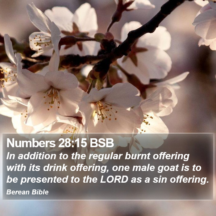 Numbers 28:15 BSB Bible Study