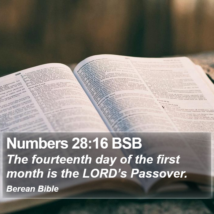 Numbers 28:16 BSB Bible Study