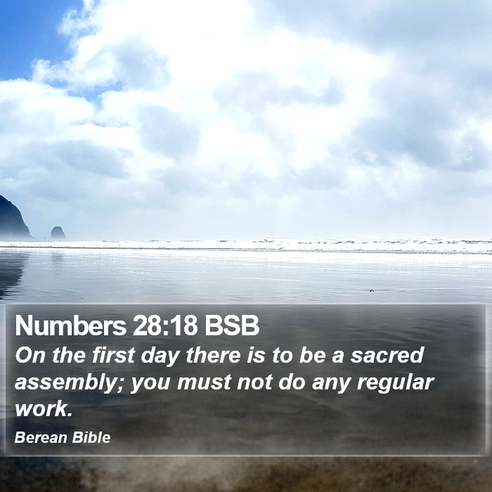 Numbers 28:18 BSB Bible Study