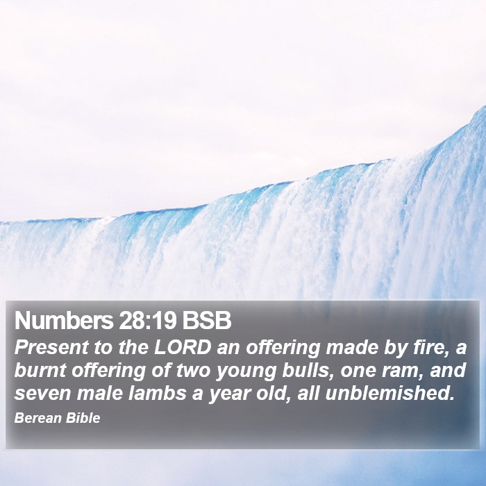 Numbers 28:19 BSB Bible Study