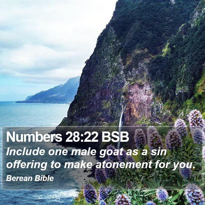 Numbers 28:22 BSB Bible Study