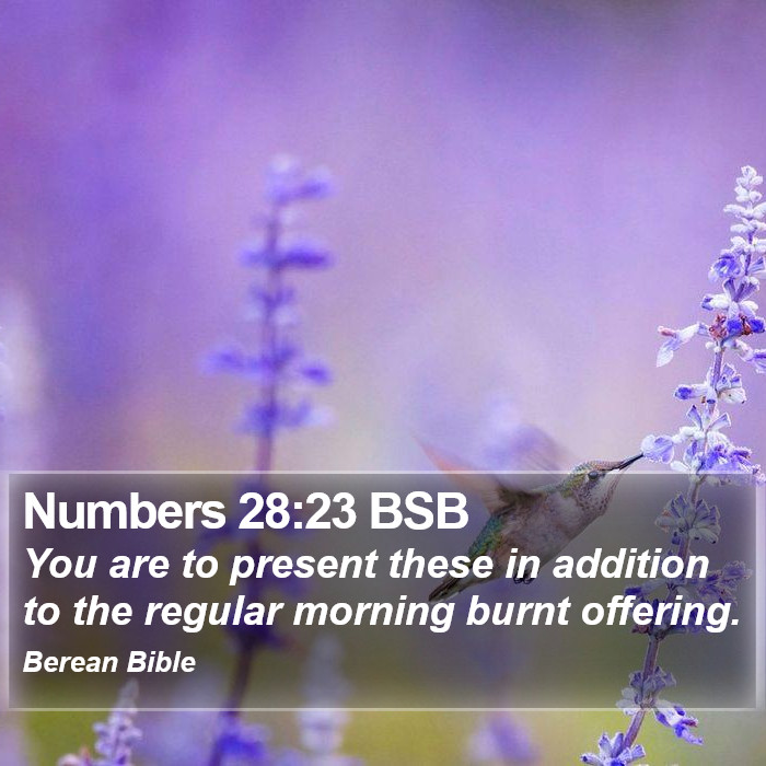 Numbers 28:23 BSB Bible Study