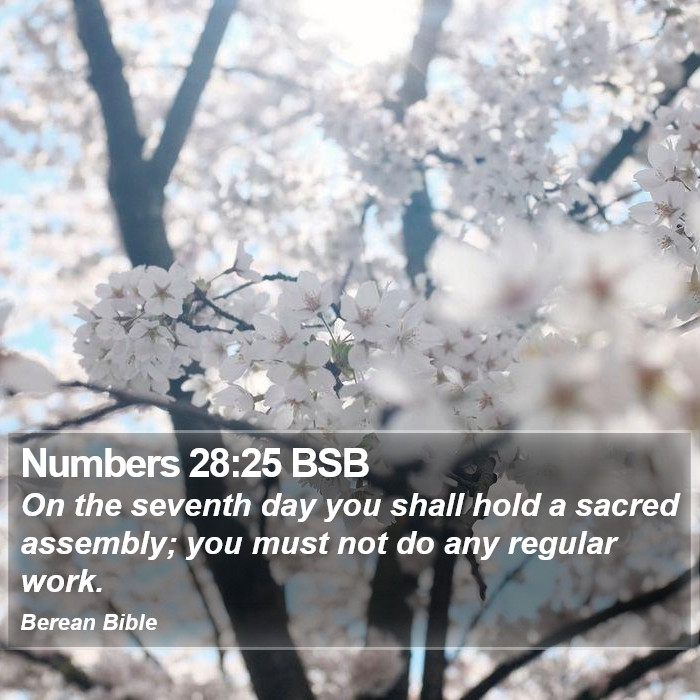 Numbers 28:25 BSB Bible Study