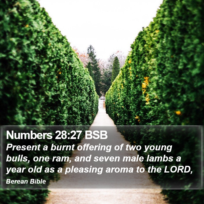 Numbers 28:27 BSB Bible Study