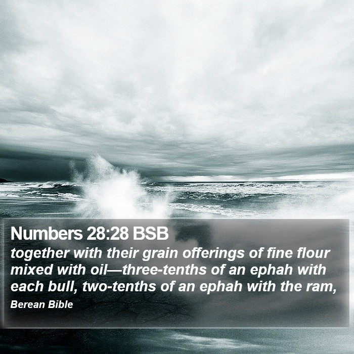 Numbers 28:28 BSB Bible Study