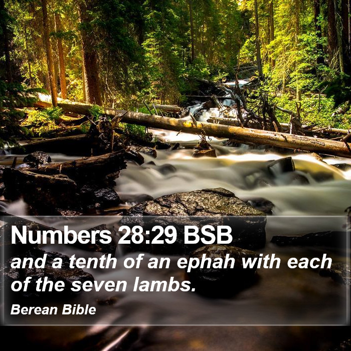 Numbers 28:29 BSB Bible Study