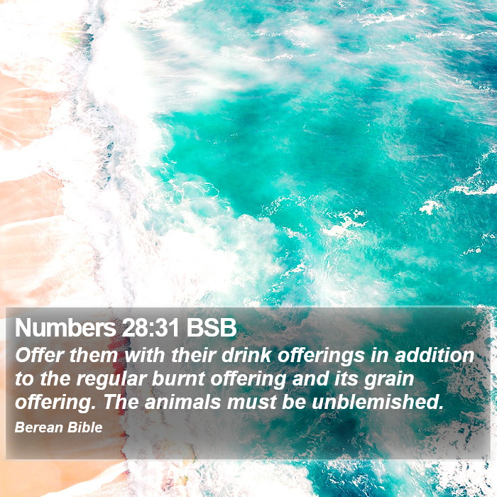 Numbers 28:31 BSB Bible Study