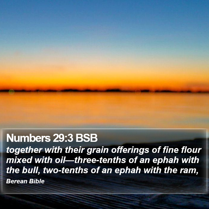 Numbers 29:3 BSB Bible Study