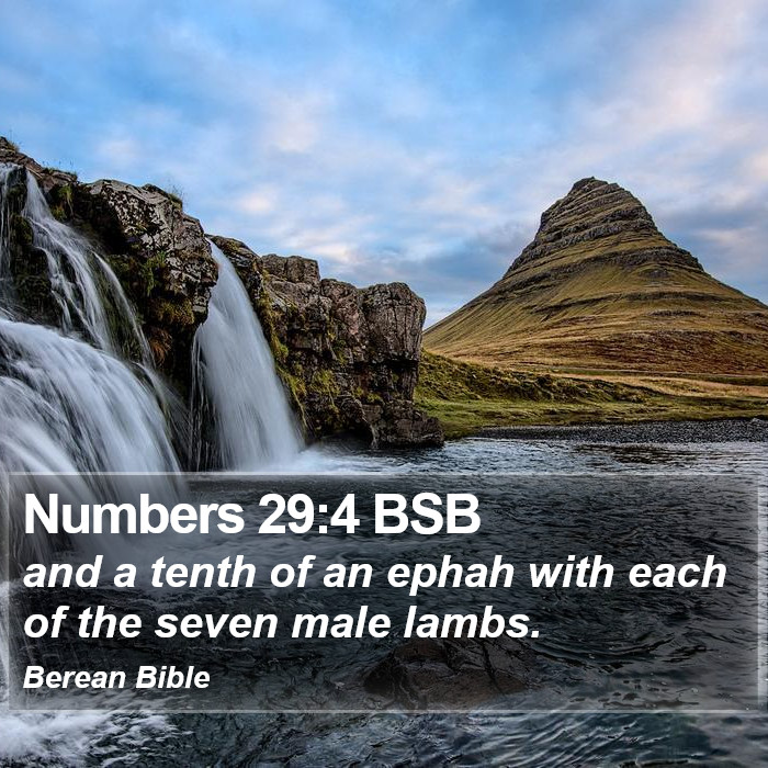 Numbers 29:4 BSB Bible Study