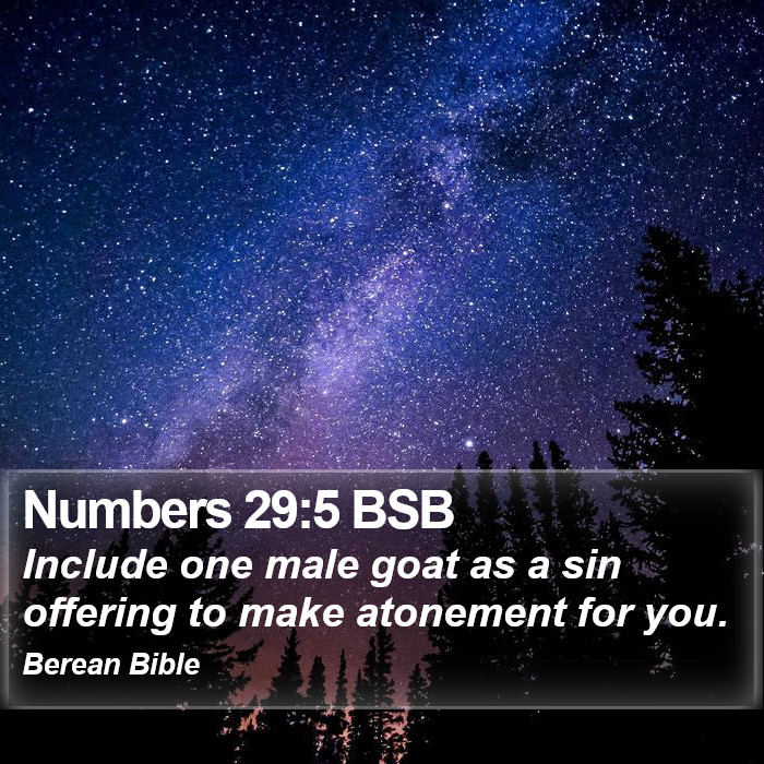 Numbers 29:5 BSB Bible Study