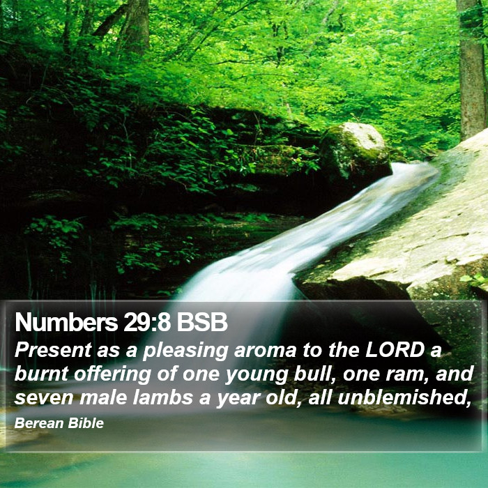 Numbers 29:8 BSB Bible Study