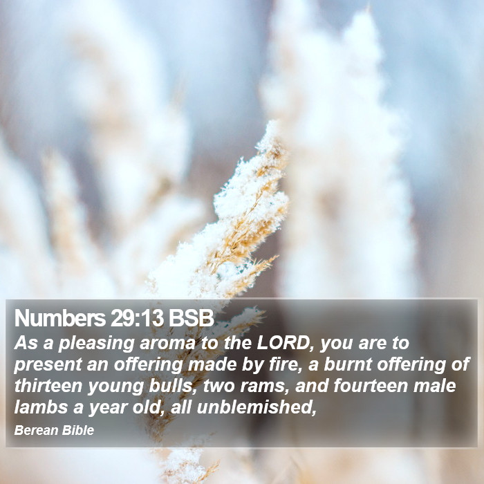 Numbers 29:13 BSB Bible Study