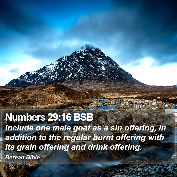 Numbers 29:16 BSB Bible Study