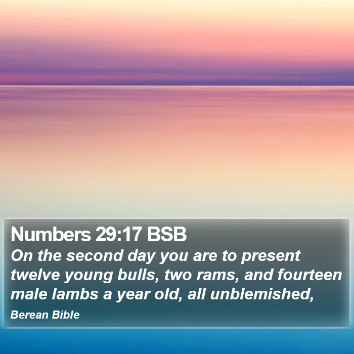 Numbers 29:17 BSB Bible Study