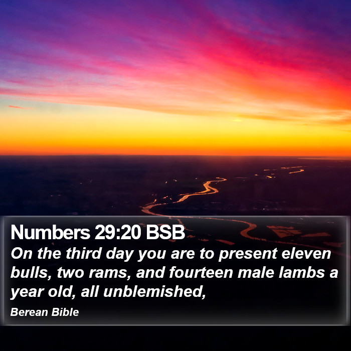 Numbers 29:20 BSB Bible Study