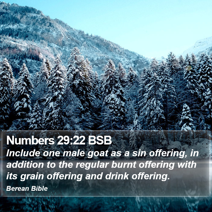 Numbers 29:22 BSB Bible Study