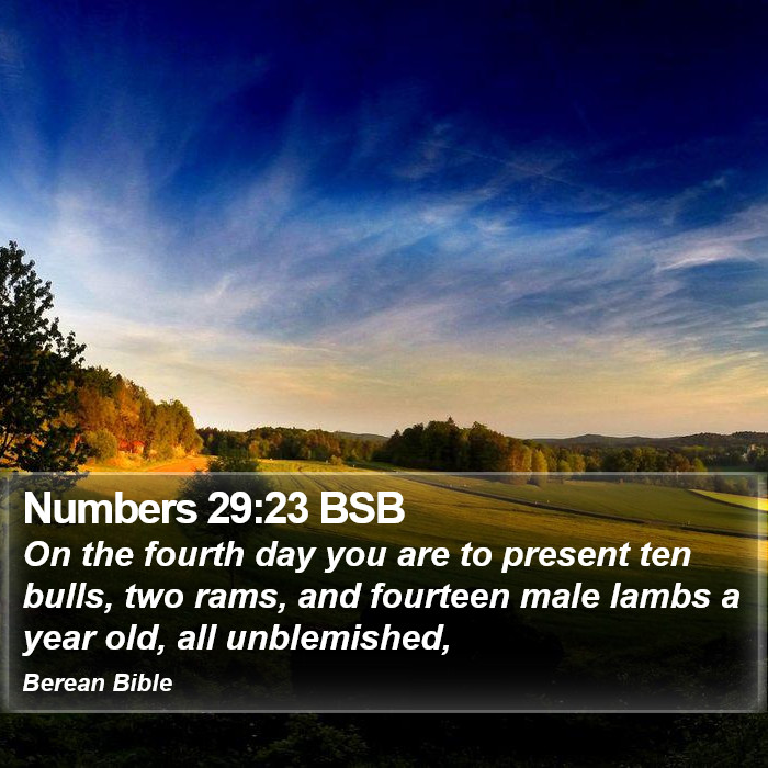 Numbers 29:23 BSB Bible Study